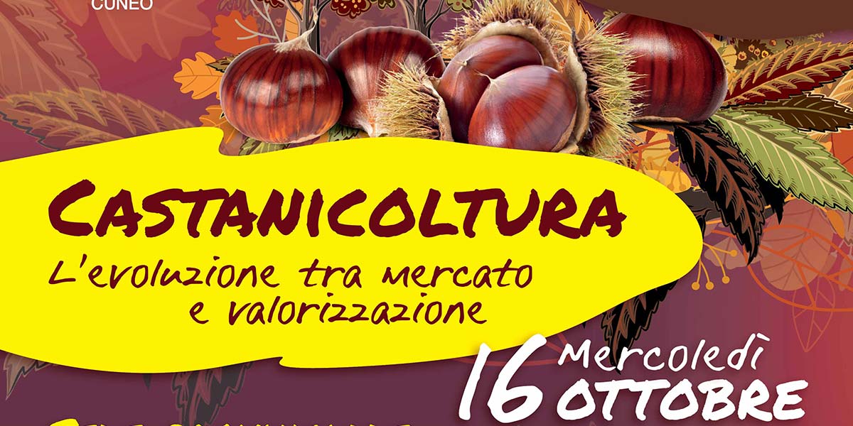 Castanicoltura, l'evoluzione tra mercato e valorizzazione